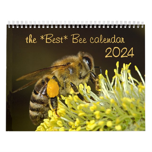Der beste Bienenkalender 2024 mit Fotos und Beschr Kalender (Titelbild)