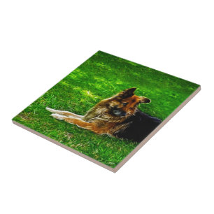 Der beste Freund #1 des Mannes Fliese