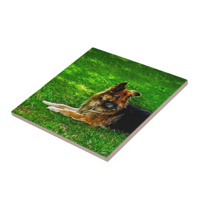 Der beste Freund #1 des Mannes Fliese (Seite)