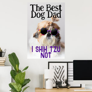 Der beste Hundedad Shih Tzu Nicht niedlich lustige Poster