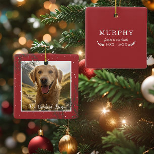 Der beste Junge (das beste Mädchen)   Foto Haustie Keramikornament