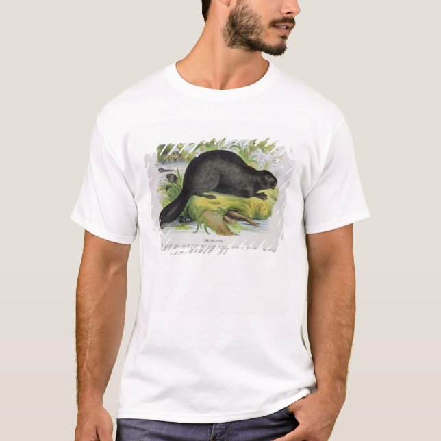 Der Biber, pädagogische Illustrations-Kneipe. T-Shirt (Vorderseite)