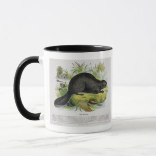 Der Biber, pädagogische Illustrations-Kneipe. Tasse