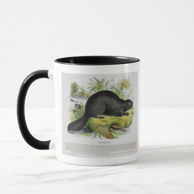 Der Biber, pädagogische Illustrations-Kneipe. Tasse (Links)