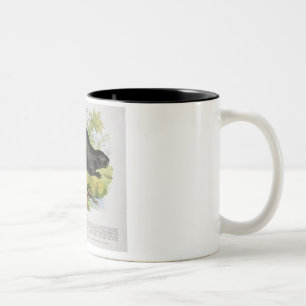 Der Biber, pädagogische Illustrations-Kneipe. Zweifarbige Tasse