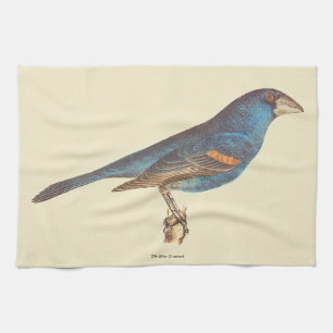 Der blaue Grosbeak, James De Kays New Yorker Vögel Geschirrtuch