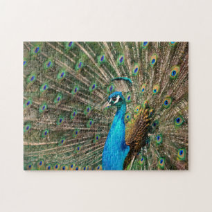 Der blaue Pfau Puzzle