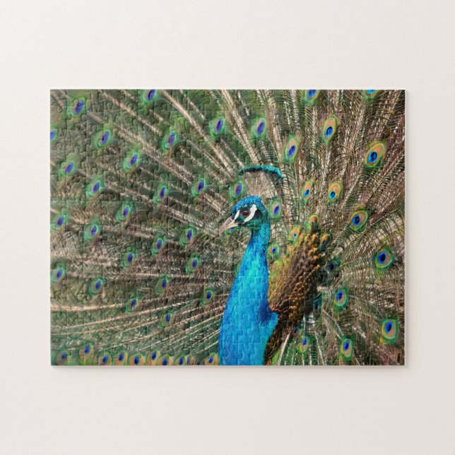 Der blaue Pfau Puzzle (Horizontal)