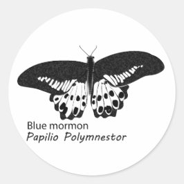 Der Blaue Schmetterling ist ein Schmetterlingsspez Runder Aufkleber