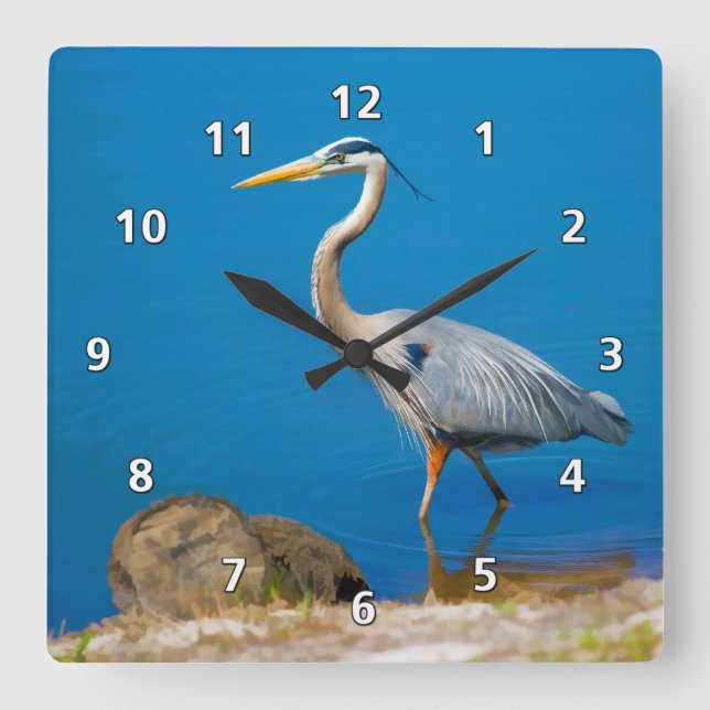 Der Blaue Vogel am Teich Quadratische Wanduhr (Vorderseite)