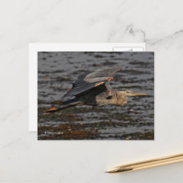 Der Blaue Vogel im Flug Postkarte