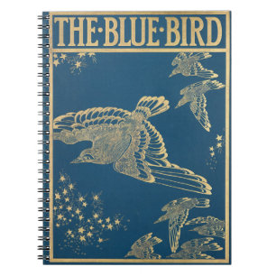 Der blaue Vogel - Vintages Buchcover Notizblock