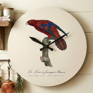 Der Blaukantel-Lori  Große Wanduhr