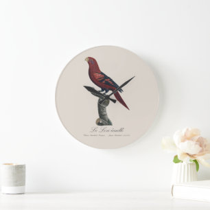 Der Blauschopf-Lori / Blauschopf-Lori  Große Wanduhr