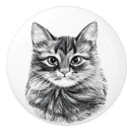 Der Bleistift, der Katzen-Gesichts-Fach zeichnet, Keramikknauf