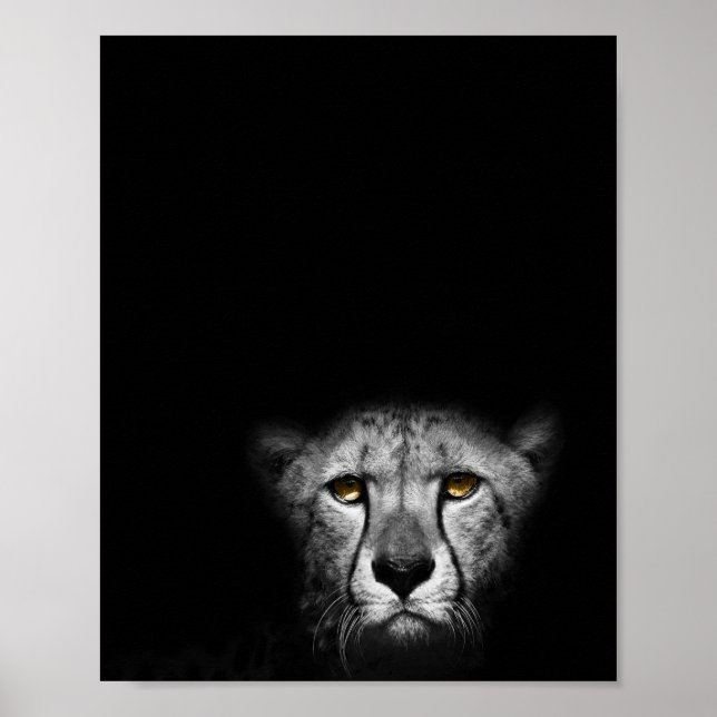 Der Blick auf den Blick, Leopard, Schwarz-Weiß-Fot Poster (Vorne)