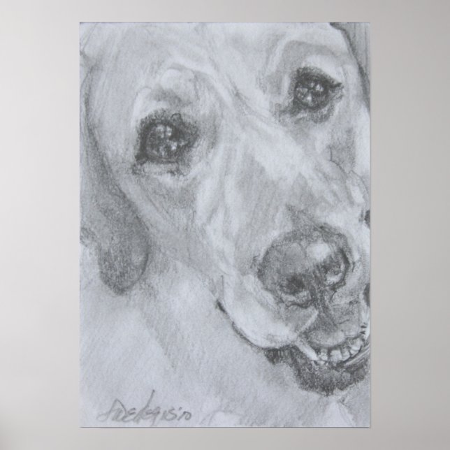 Der Blick der Liebe Poster (Vorne)
