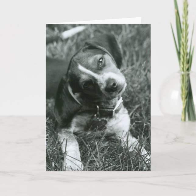 Der Blick Karte (Vorderseite)