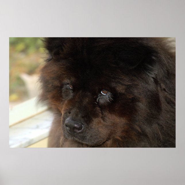 Der Blick Poster (Vorne)