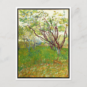 Der blühende Obstgarten von Vincent Van Gogh (1888 Postkarte