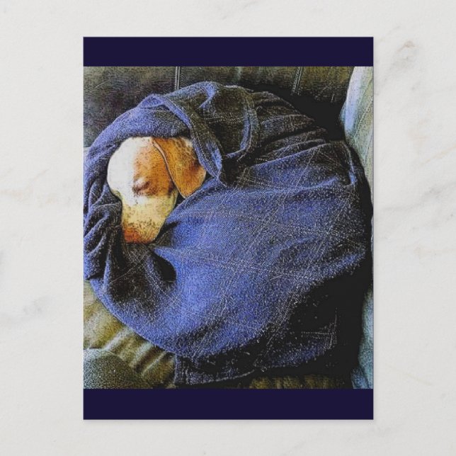 Der Bo-Ball Postkarte (Vorderseite)