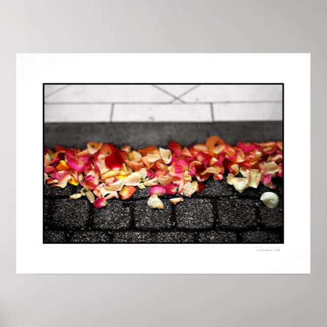 DER BODEN, DEN SIE AUF DEM Poster GELADEN HABEN (Vorne)