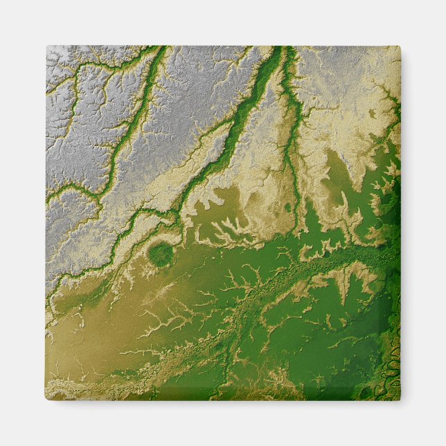 Der bolivianische Amazonas Magnet (Vorne)
