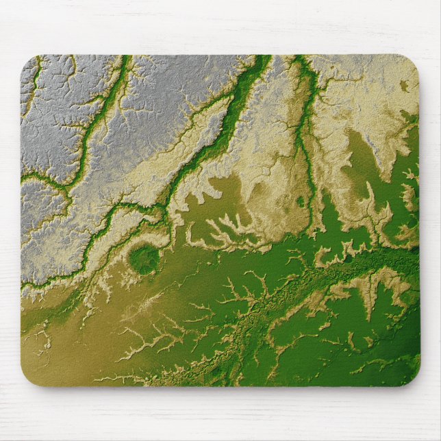 Der bolivianische Amazonas Mousepad (Vorne)