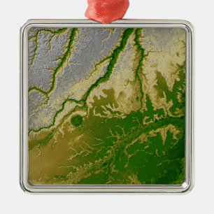 Der bolivianische Amazonas Silbernes Ornament