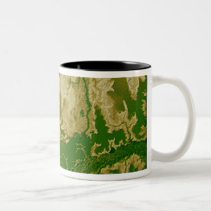 Der bolivianische Amazonas Zweifarbige Tasse