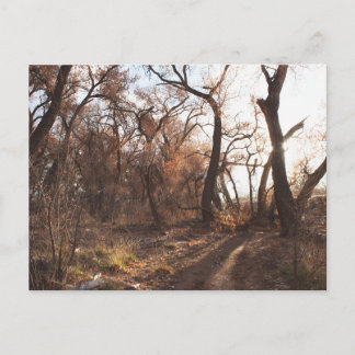 "Der Bosque-Chor" Postkarte