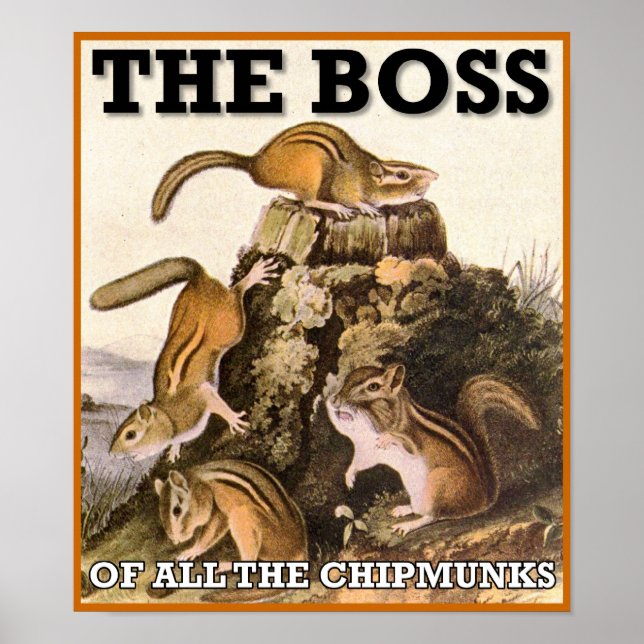 Der Boss aller Chipkarten-Poster-Zeichen Poster (Vorne)