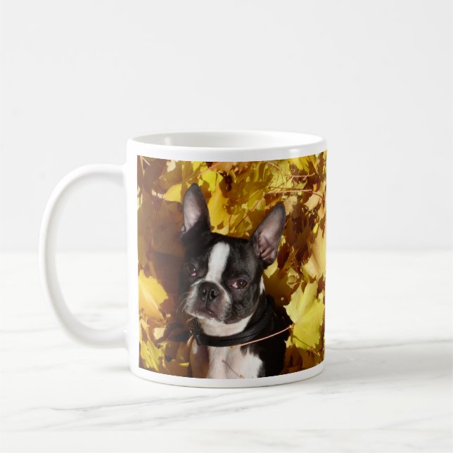 Der Boston-Terrier-Hund, der bis zum Herbst Kaffeetasse (Links)