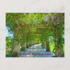 Der Botanische Garten der Königin Neapel, Florida Postkarte