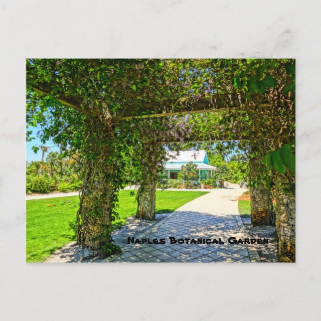 Der Botanische Garten der Königin Neapel, Florida Postkarte (Vorderseite)