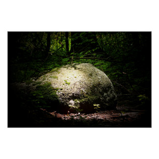 Der Boulder im Wald Poster