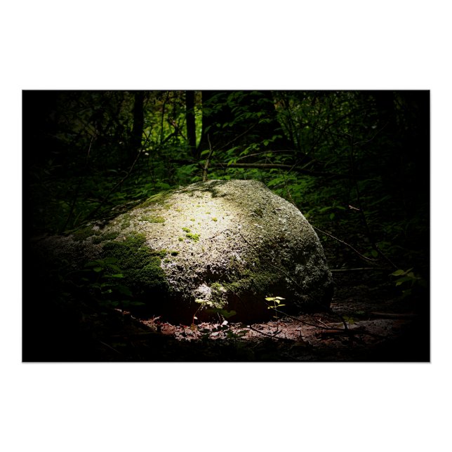 Der Boulder im Wald Poster (Vorderseite)
