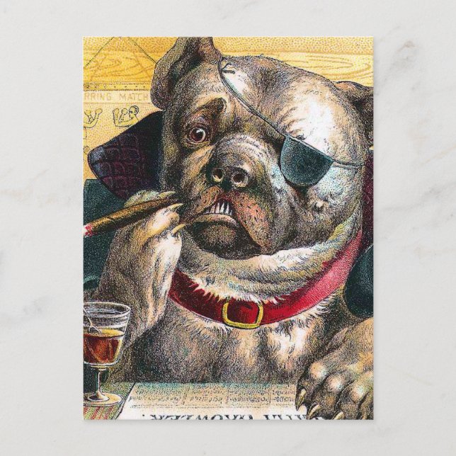 Der Bouncer Dog Postkarte (Vorderseite)