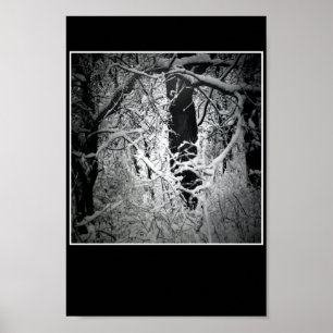 der Bower der Schneekönigin Poster