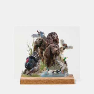 Der Boykin Spaniel Acrylschild