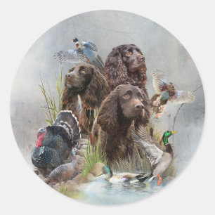 Der Boykin Spaniel Runder Aufkleber