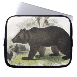 Der Braunbär, pädagogische Illustrations-Kneipe. Laptopschutzhülle