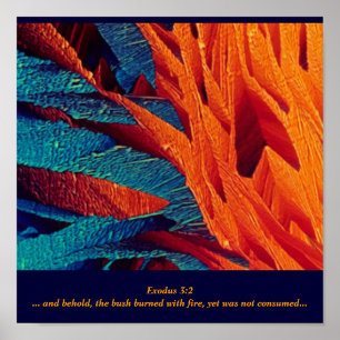 Der brennende Bush abstrakt Poster