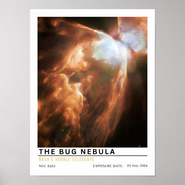 Der Bug-Nebel Weltraum-Bildung Poster (Vorne)
