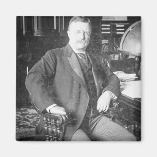 Der Bull Elch Teddy Roosevelt Vintag Magnet