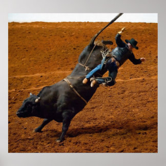 Der Bull Rider Poster