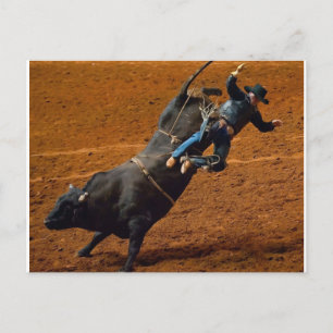 Der Bull Rider Postkarte