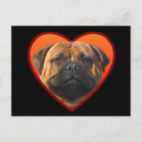 Der Bullmastiff des Valentinsgrußes Postkarte