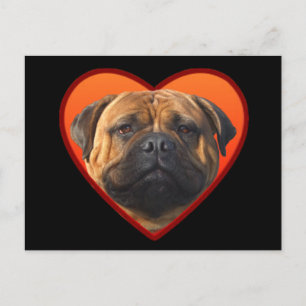 Der Bullmastiff des Valentinsgrußes Postkarte
