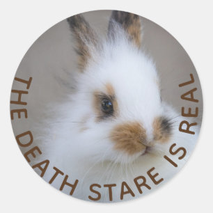 Der BUNNY Death Stare ist echt! Eigenes Foto hinzu Runder Aufkleber